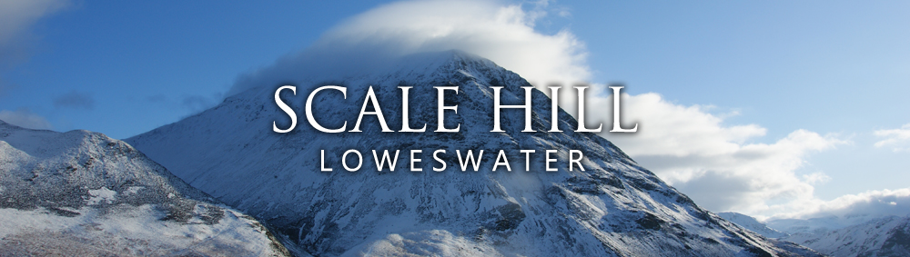 scalehillbanner2 scalehillbanner2