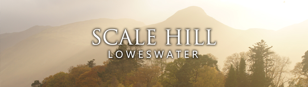 scalehillbanner3 scalehillbanner3