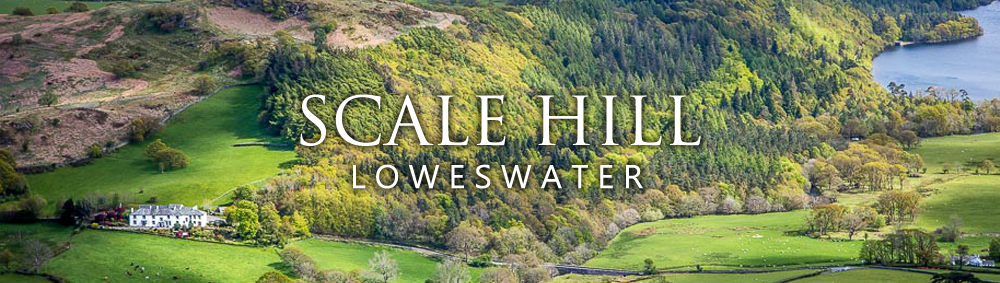 scalehillbanner4 scalehillbanner4