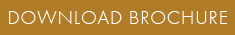 click here to contact us